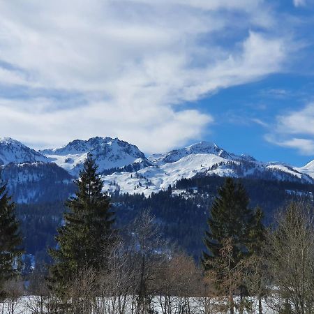 Ferienwohnung App. Mountain View Fieberbrunn Exterior foto