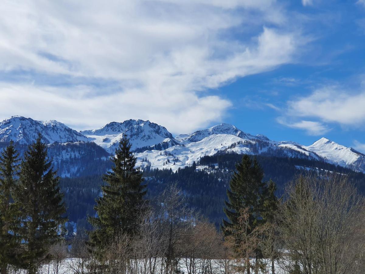 Ferienwohnung App. Mountain View Fieberbrunn Exterior foto